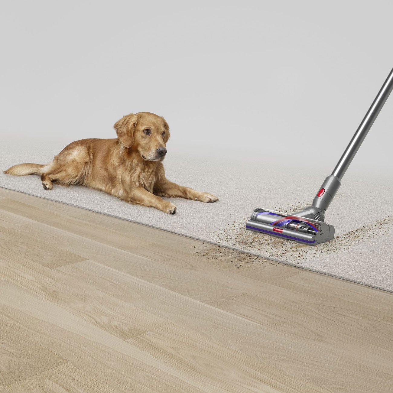  V15 Detect Cordless Stick Vacuum (2023)