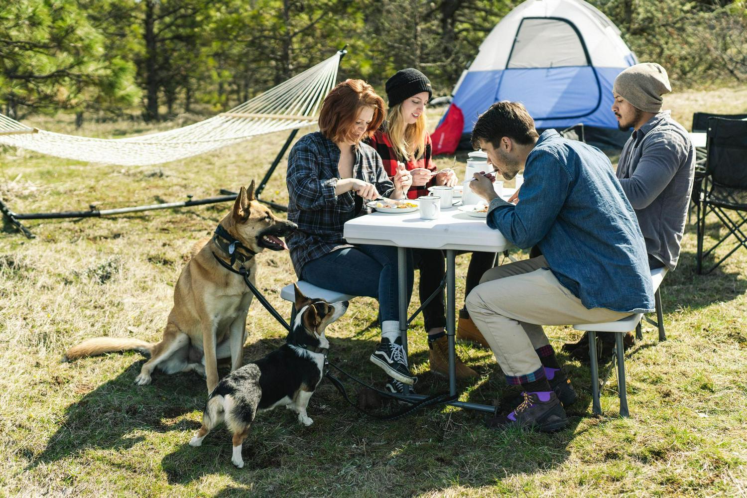 Stansport Heavy-Duty Picnic Table and Bench Set