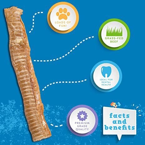 Jack and Pup Beef Trachea 12-in Dog Treats， 3 count