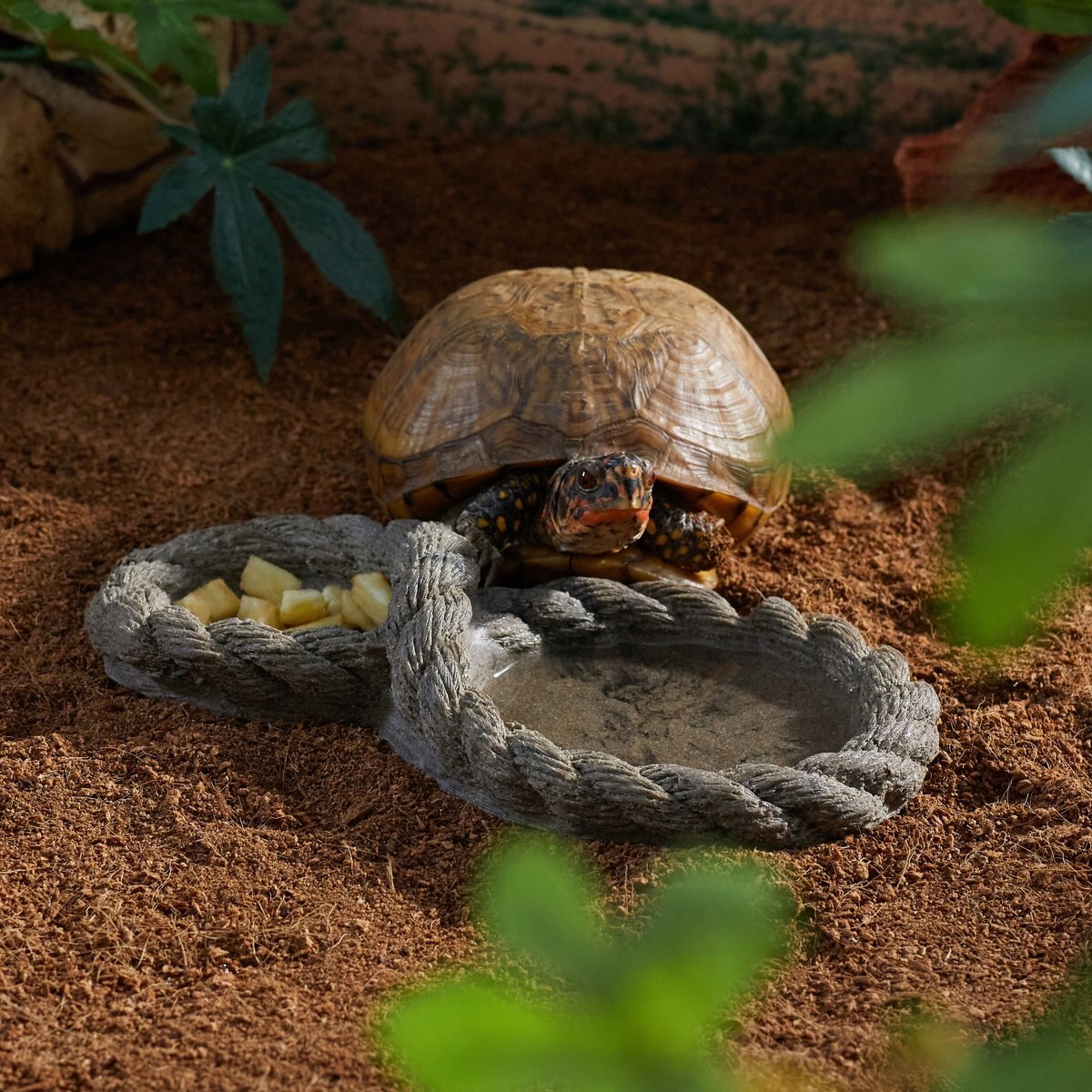 CC Pet Double Rope Reptile Bowl