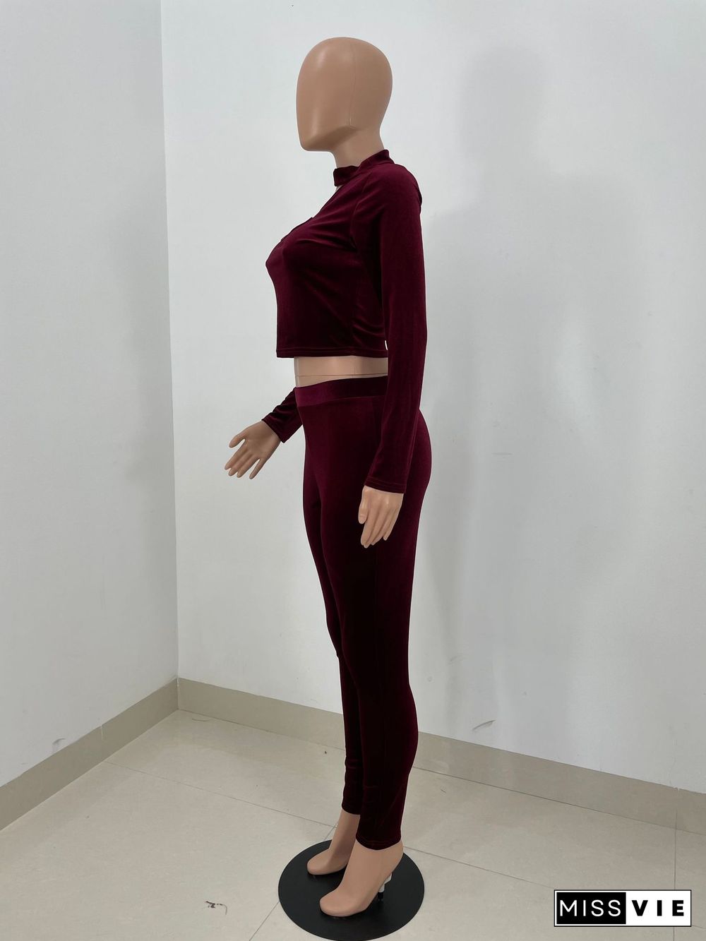 Velvet Hollow Out Crop Top Pencil Pants Set