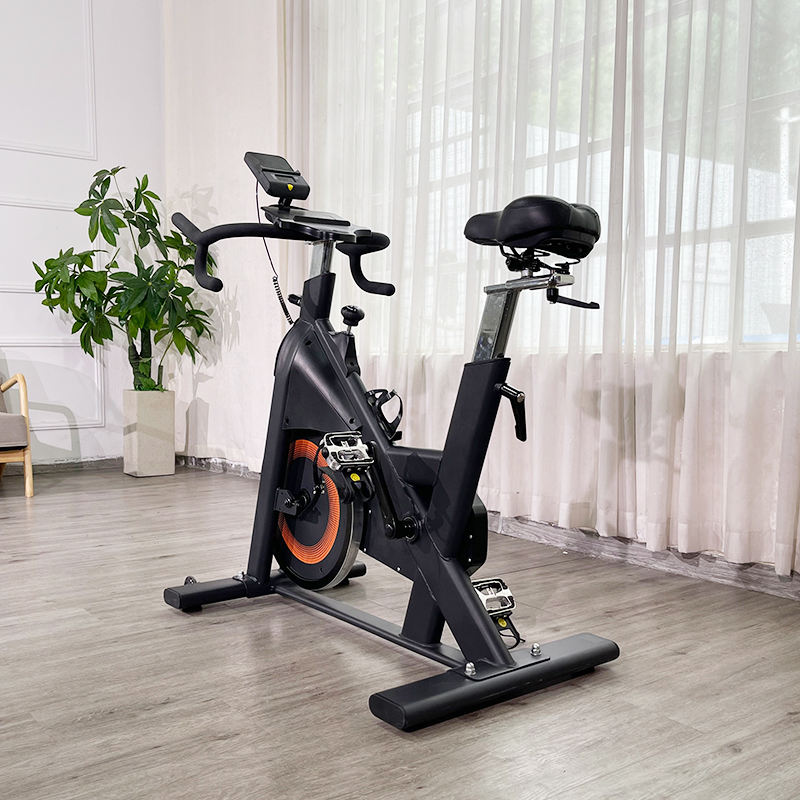 22 Kg heavy duty cardio training fitness gym equipment spin bike home use