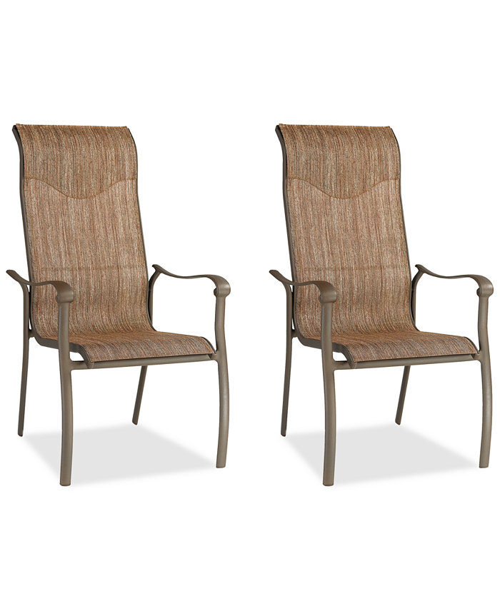 Furniture Set of 2 Oasis Aluminum Outdoor Dining Chairs