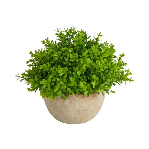 Nearly Natural 5 in Boxwood Artificial Plant In Decorative Planter