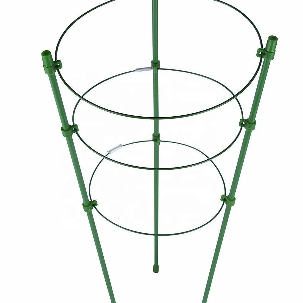 Wholesale supply durable climbing plant support cage garden trellis tomato flower 3 rings