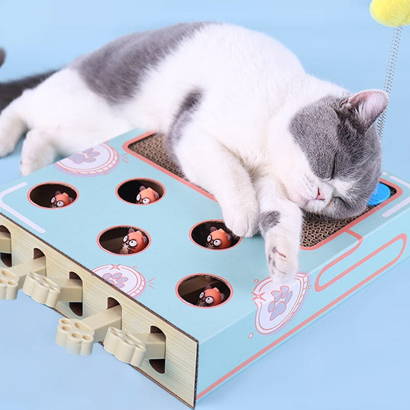 Cat Interactive Toy