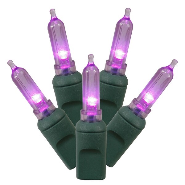 Vickerman 50 Purple Italian LED Light on Green Wire，25' Christmas Single Mold Light Strand