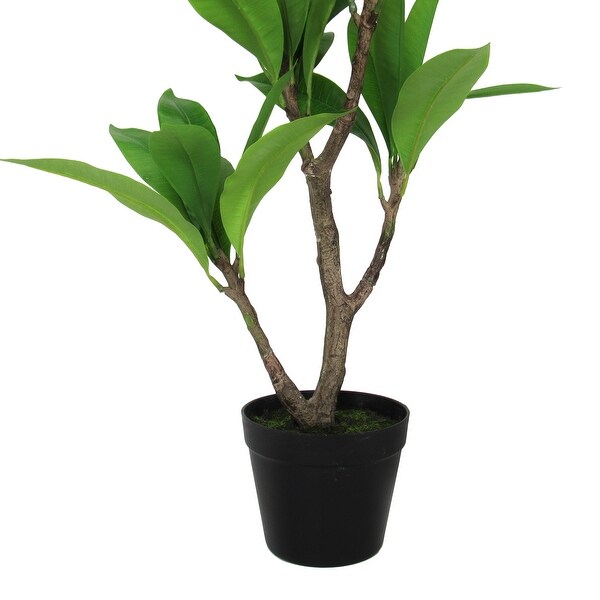 2.25ft Cream Artificial Plumeria Flower Tree Tropical Plant in Black Pot