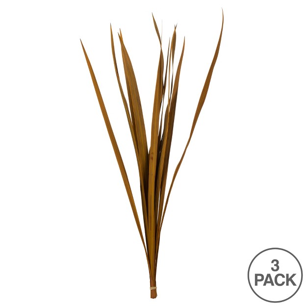 Snake Grass， Dried - 36 Stems