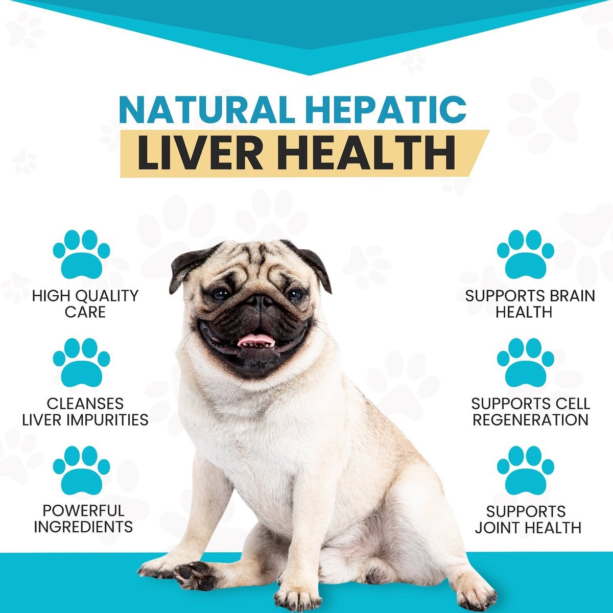 Wanderfound Pets SAMe 100 Liver Support for Dogs