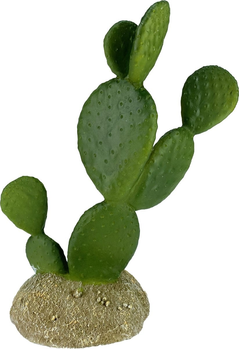 Komodo Cactus Prickly Pear Reptile Ornament， Green