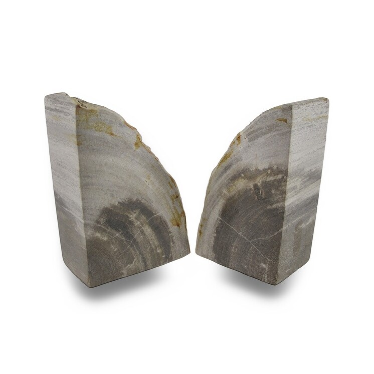 Indonesian Palmwood Light Color Petrified Wood Bookends 6 8 Pounds   8 X 4 X 2.5 inches