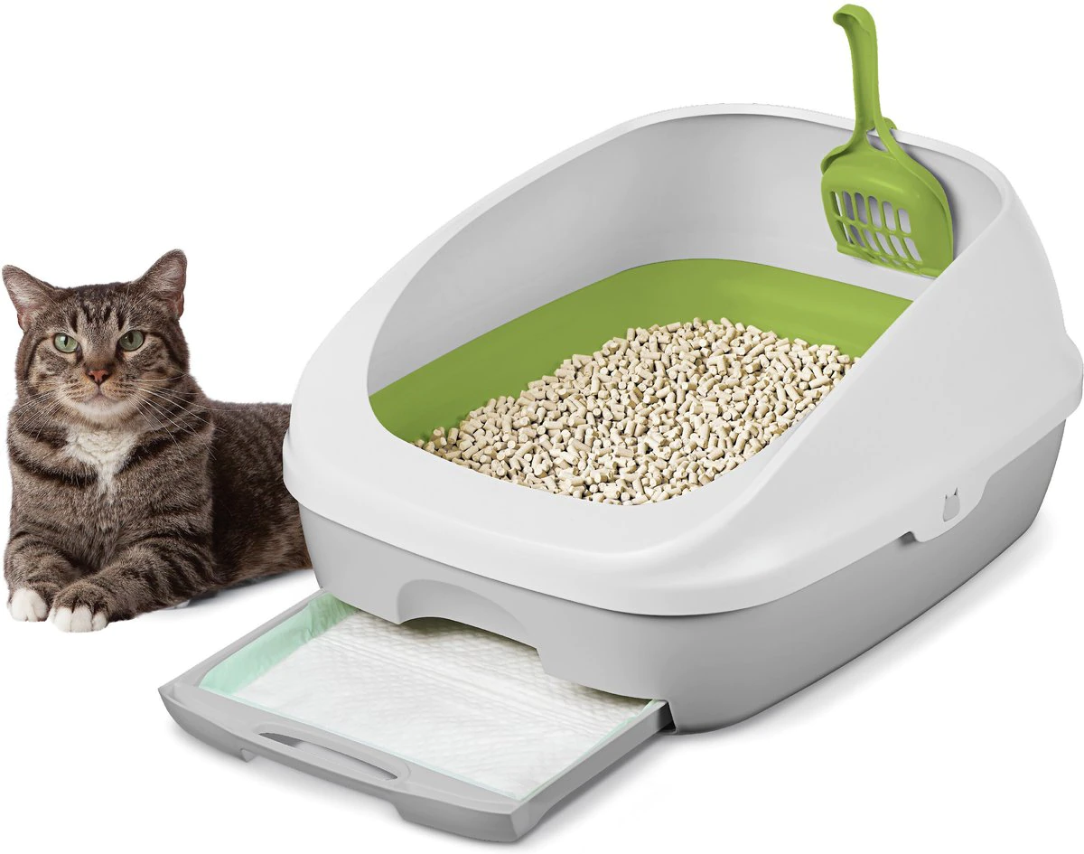 Cat Litter Box #1