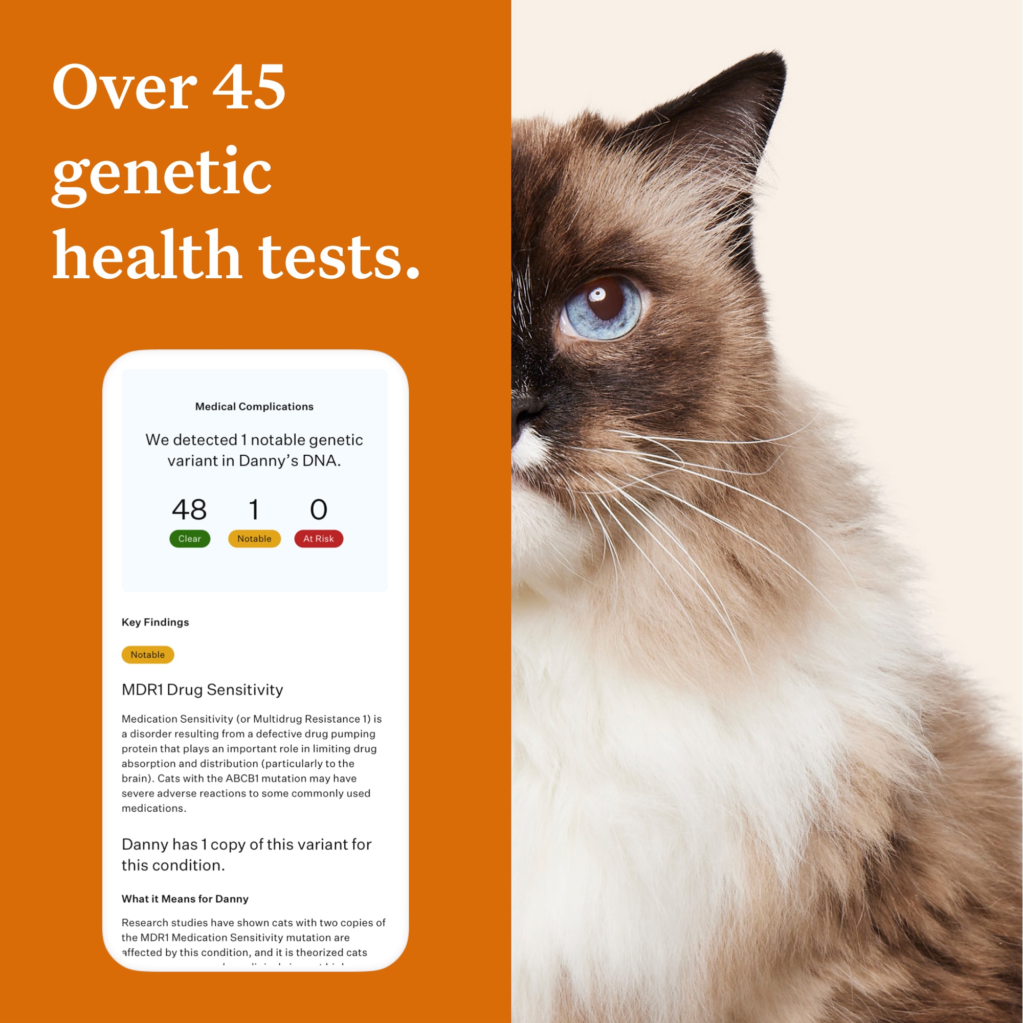 Wisdom Panel Complete Cat DNA Test