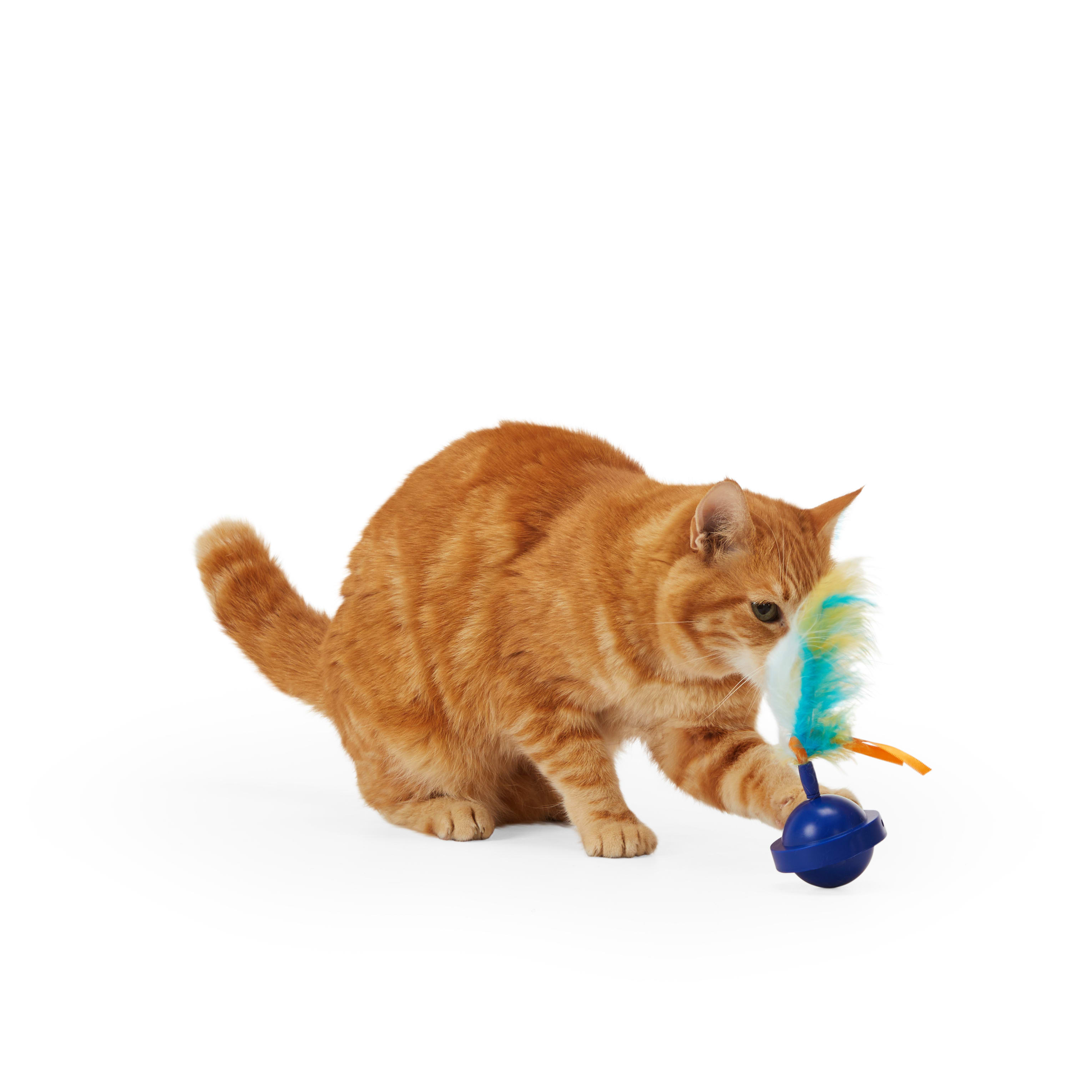 LEAPS  BOUNDS Electronic Spinning Cat Toy