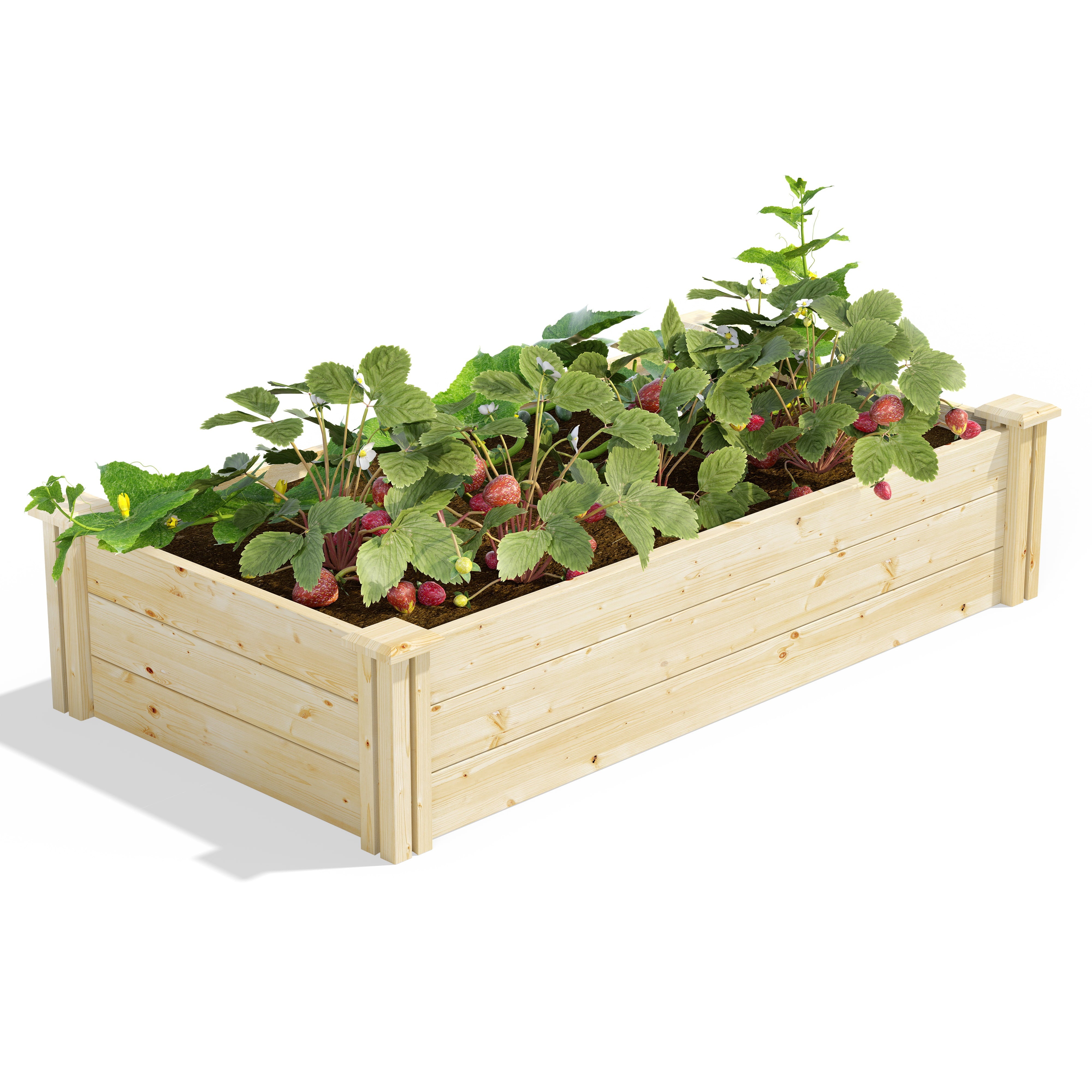 Greenes Fence 2' x 4' x 10.5" Beige Pine Raised Garden Kit