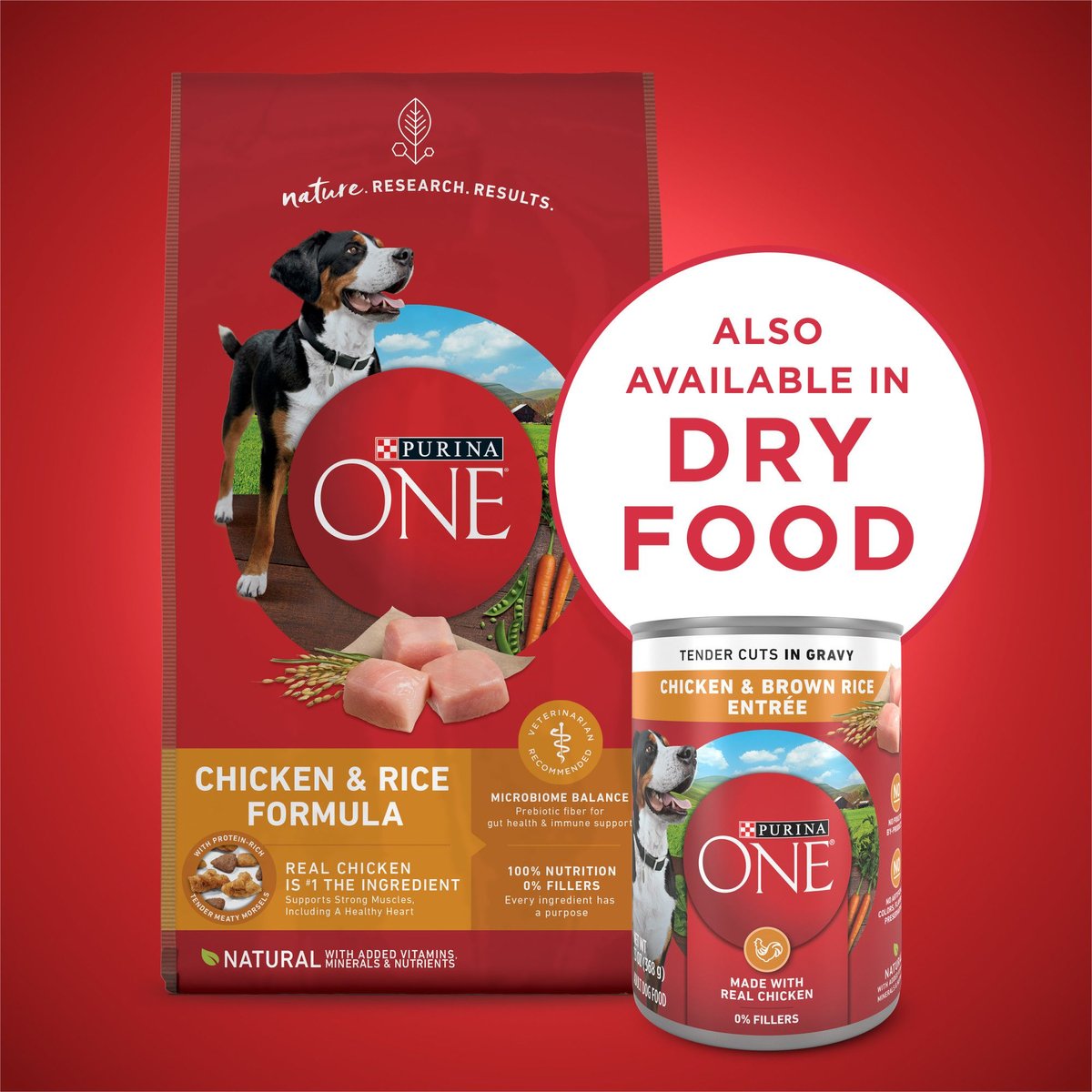 Purina ONE SmartBlend Tender Cuts in Gravy Chicken and Brown Rice Entree Adult Canned Dog Food