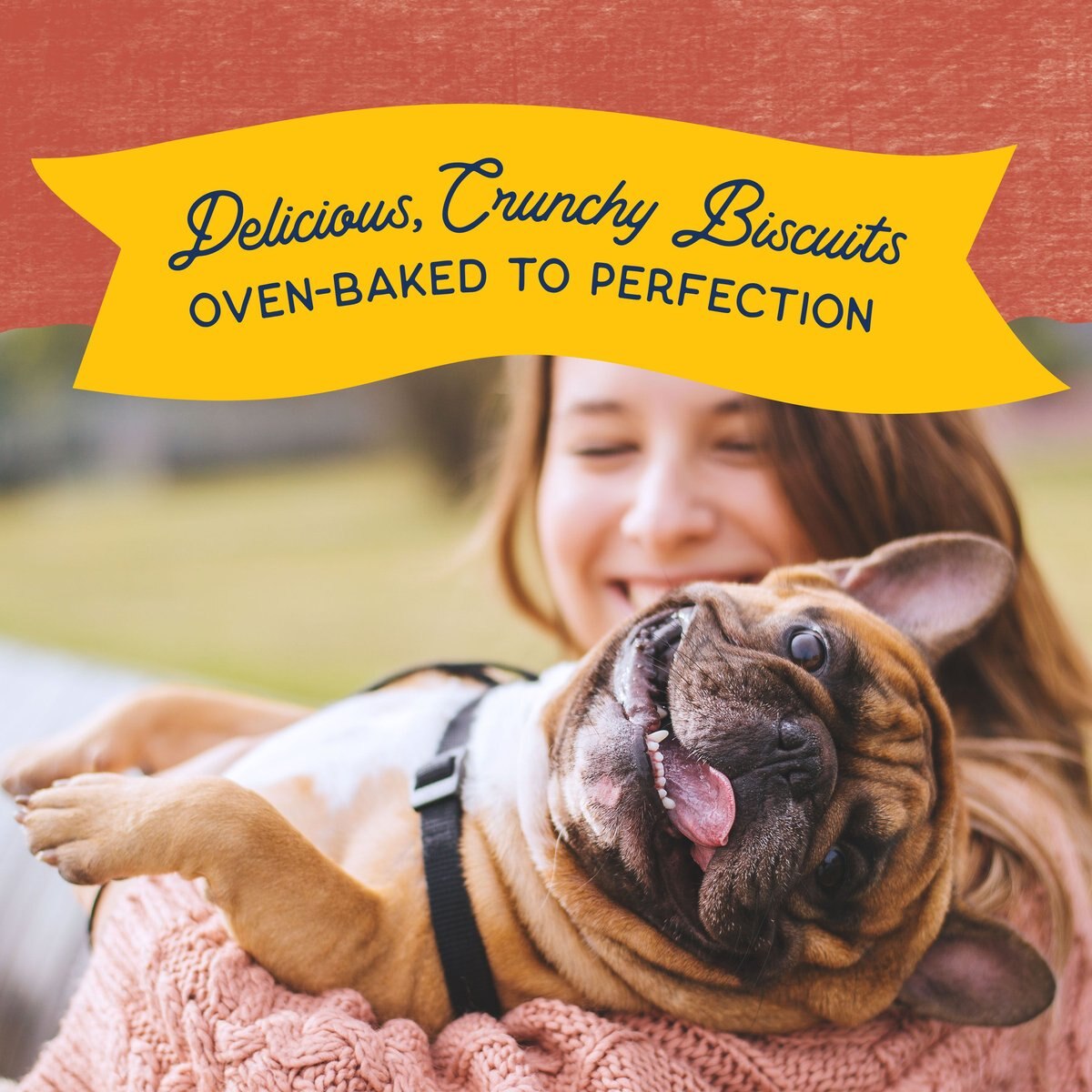 Natural Balance Rewards Crunchy Biscuits With Real Salmon Dog Treats