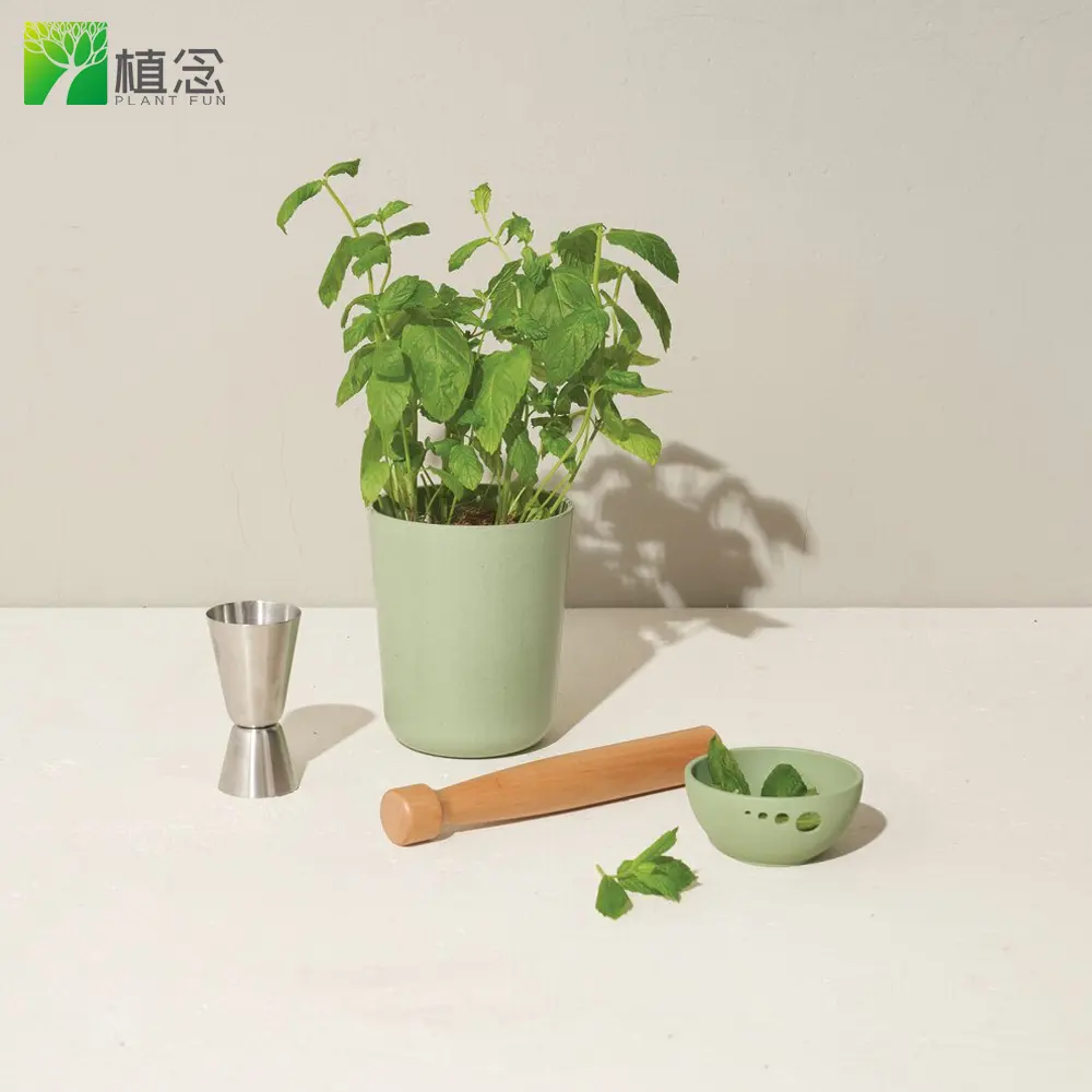 Custom Hot Selling Indoor Herb Tool Set Luxury Gift Set Garden Kit