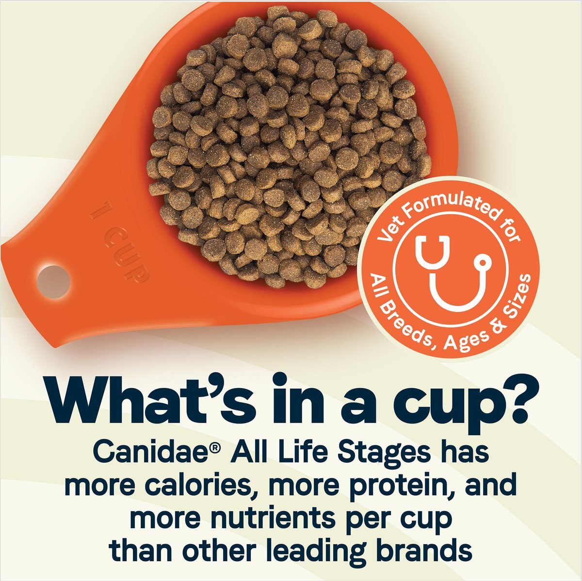 CANIDAE All Life Stages Chicken Meal and Rice Formula Dry Dog Food