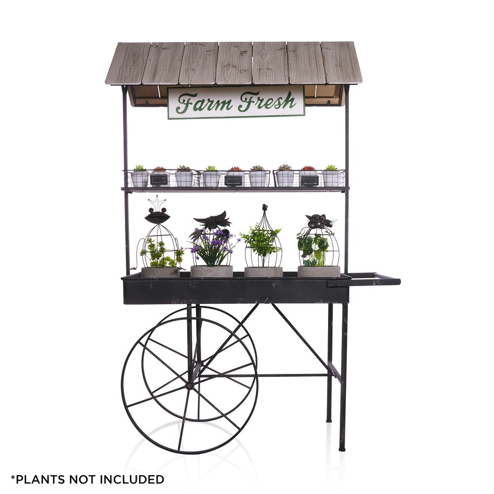 Alpine Corporation Farm Fresh Indoor/Outdoor Metal and Wood Garden Cart  51\