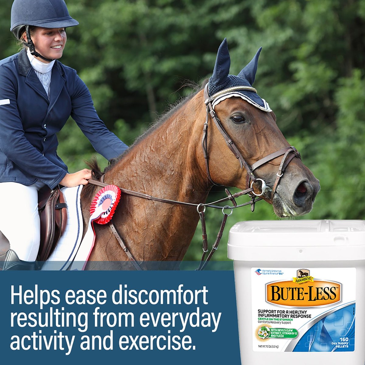 Absorbine Bute-Less Comfort and Recovery Pellets Horse Supplement