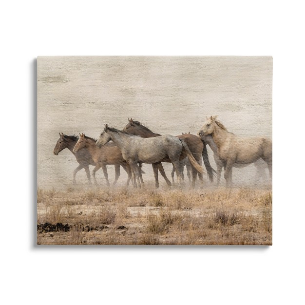 Stupell Industries Galloping Horse Herd Countryside Gallery Wrapped Canvas Wall Art