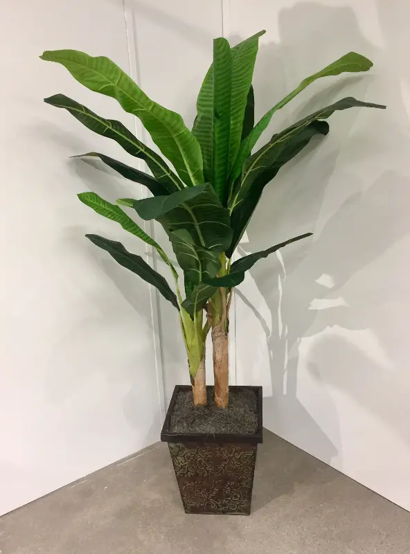 6 Foot Banana Tree Arrangement