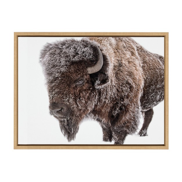 X 24 quot Sylvie Bison In Snow Framed Canvas By Amy Peterson Art Studio Natural Kate amp Laurel All Things Decor