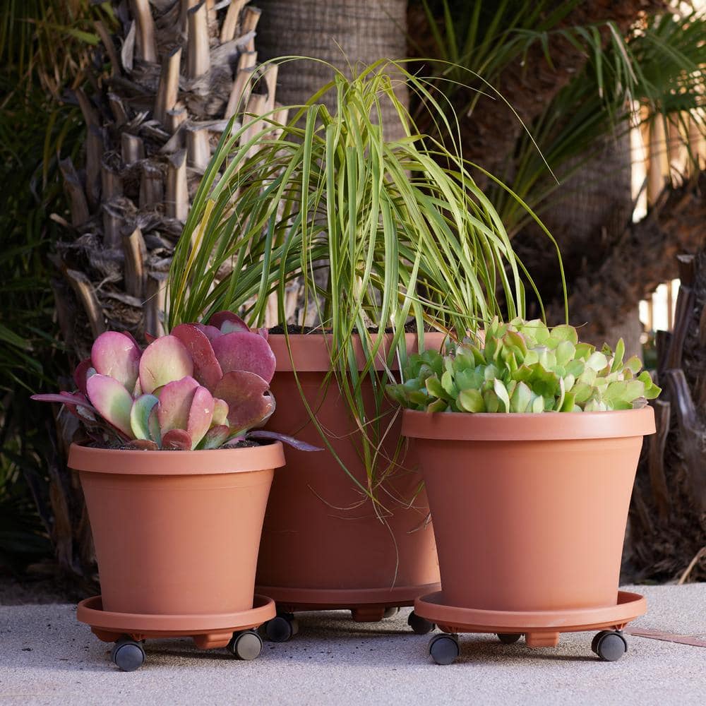 Bloem Caddy Round 16 in. Terra Cotta Plastic Plant Stand Caddy with Wheels 95126C