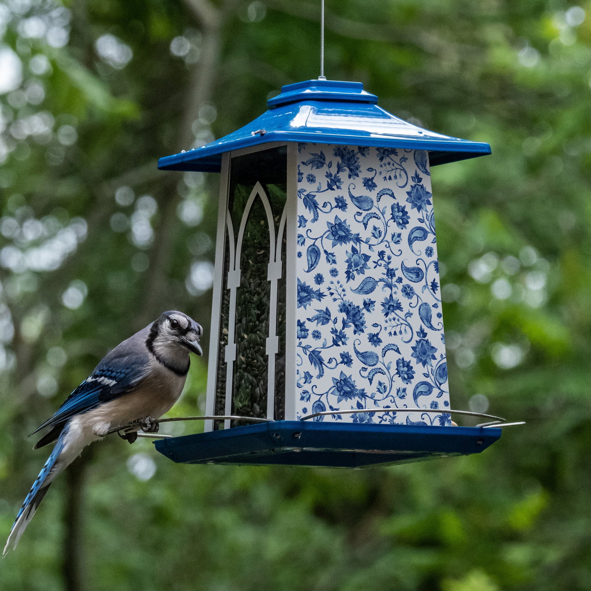 Wild Wings Paisley Arches Gazebo Bird Feeder， 3.3 Quart， Blue