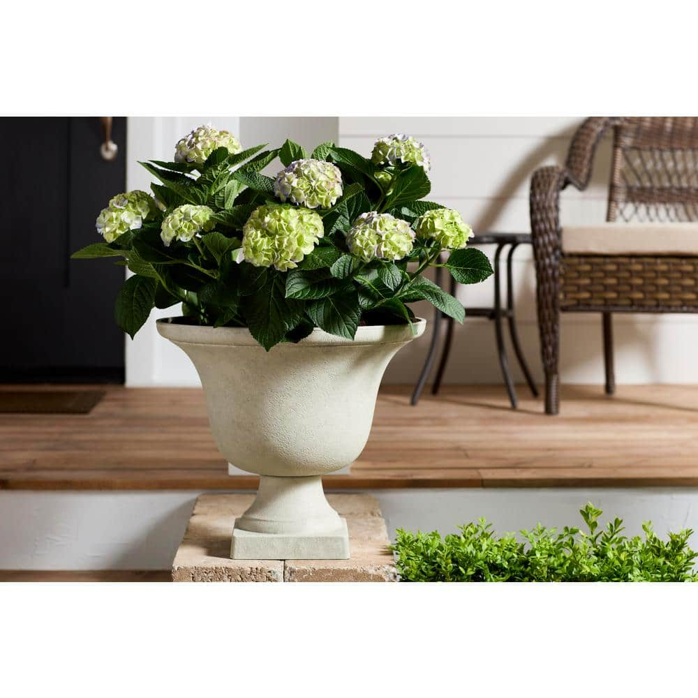 Vigoro 17.8 in. Elise Large White Textured Resin Urn Planter (17.8 in. D x 15 in. H) with Drainage Hole HD1436-598R