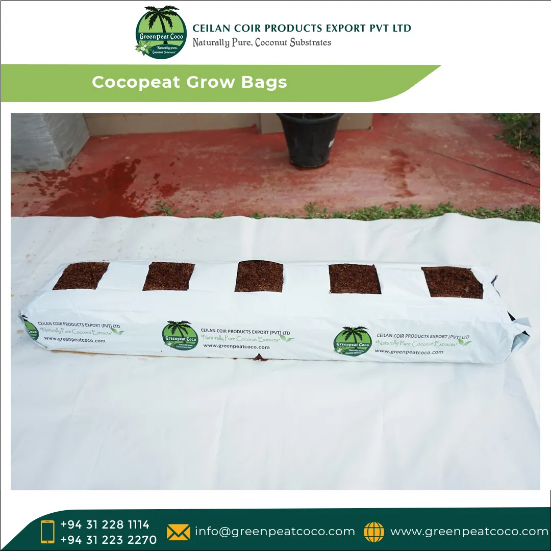 Leading Exporter of Top Quality Greenhouse Hydroponic Horticulture Natural Cocopeat Fiber Grow Bags for Garden Planters