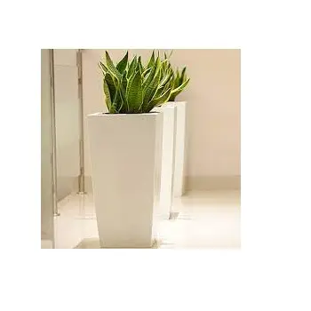 Classic Style Gold Polished Top Selling Planter Metal Planter Pots Garden Supplies For Living Room Use Home Decoration