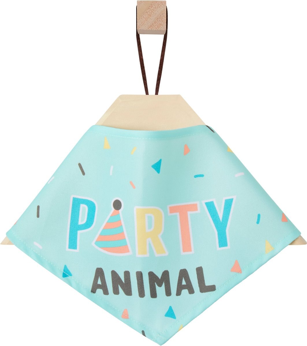 Frisco Party Animal Dog and Cat Bandana