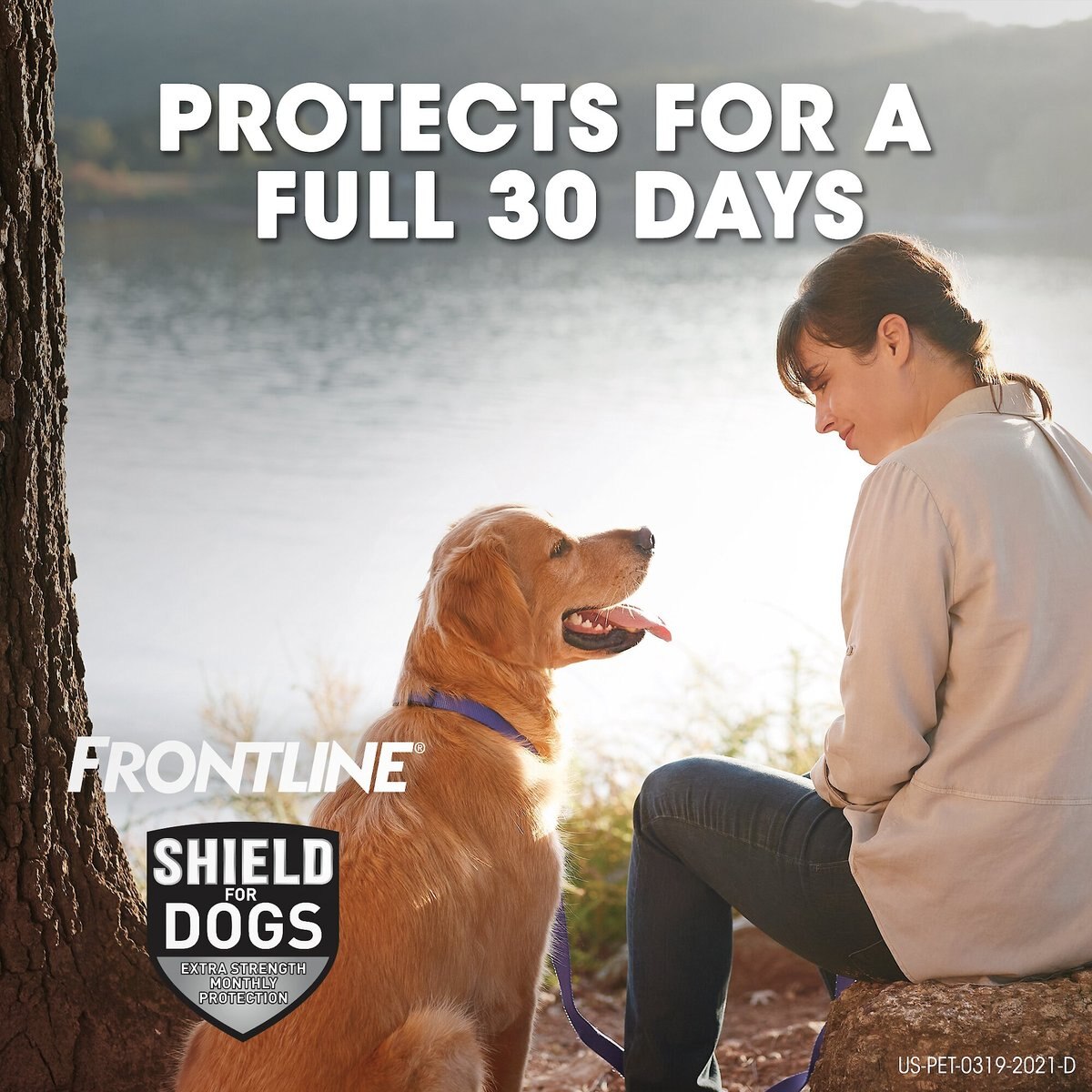 Frontline Shield Flea and Tick Treatment for Small Dogs， 11 - 20 lbs