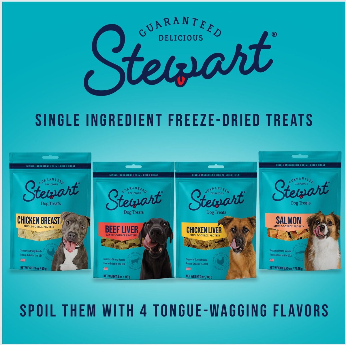 Stewart Beef Liver Freeze-Dried Raw Dog Treats