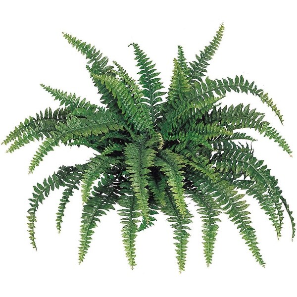 Wild Fern Haven: 48 Artificial Silk Boston Fern Plant