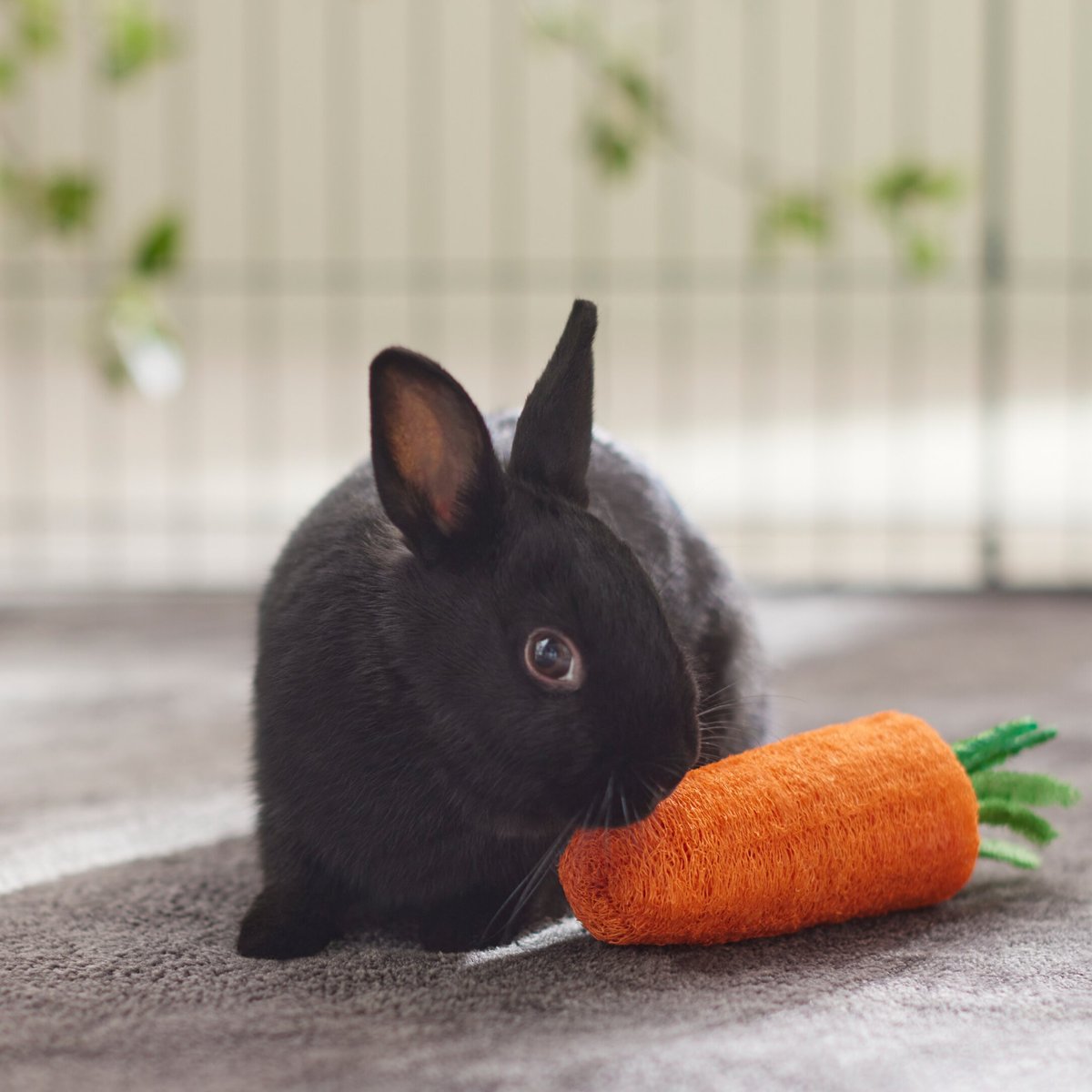 Frisco Carrot Loofah Small Pet Chew Toy