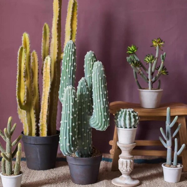 RusticReach Artificial Cactus in Pot Various Styles