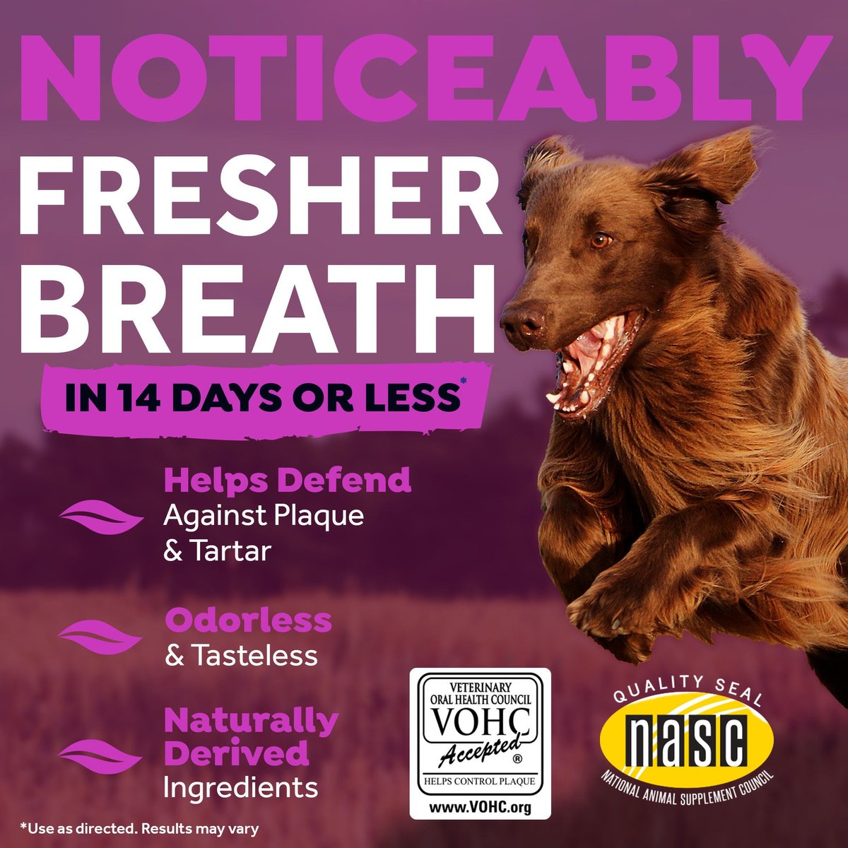 TropiClean Fresh Breath Dental Health Solution + Hip and Joint Support Dog Dental Water Additive