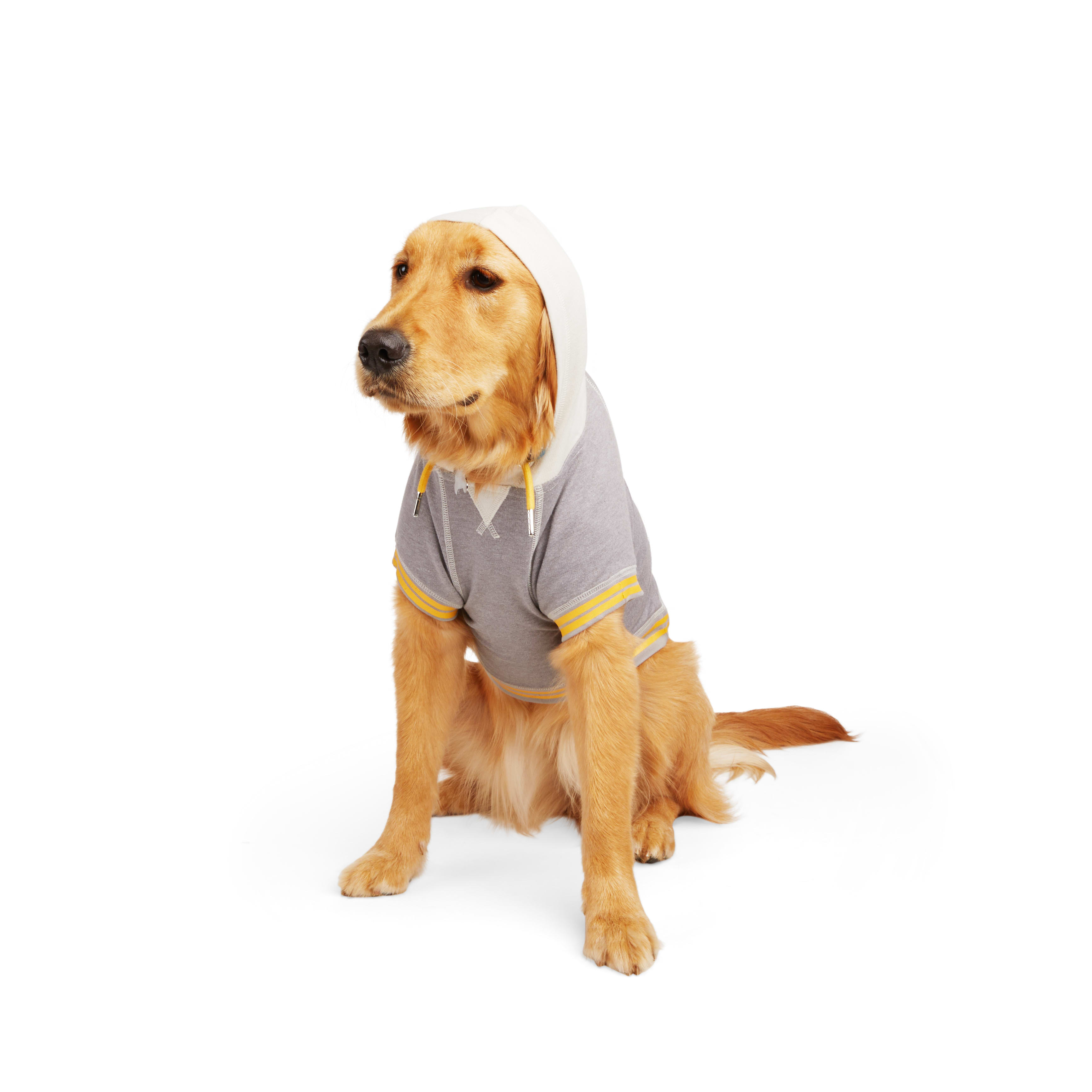 Reddy Grey Varsity Dog Hoodie， 3X-Large