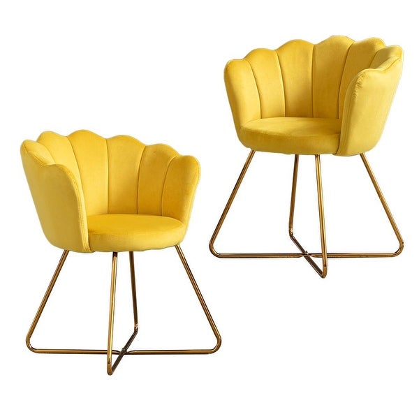 Modern Velvet Set Of 2 Living Room Chair