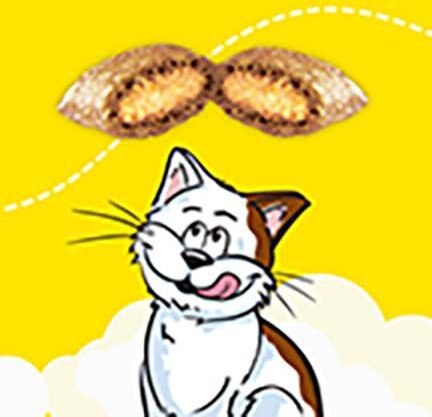 Temptations Classic Tasty Chicken Soft and Crunchy Cat Treats