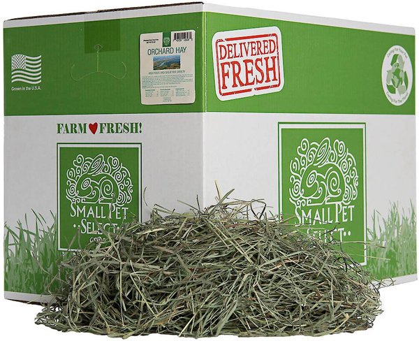 Small Pet Select Orchard Grass Hay Small Animal Food