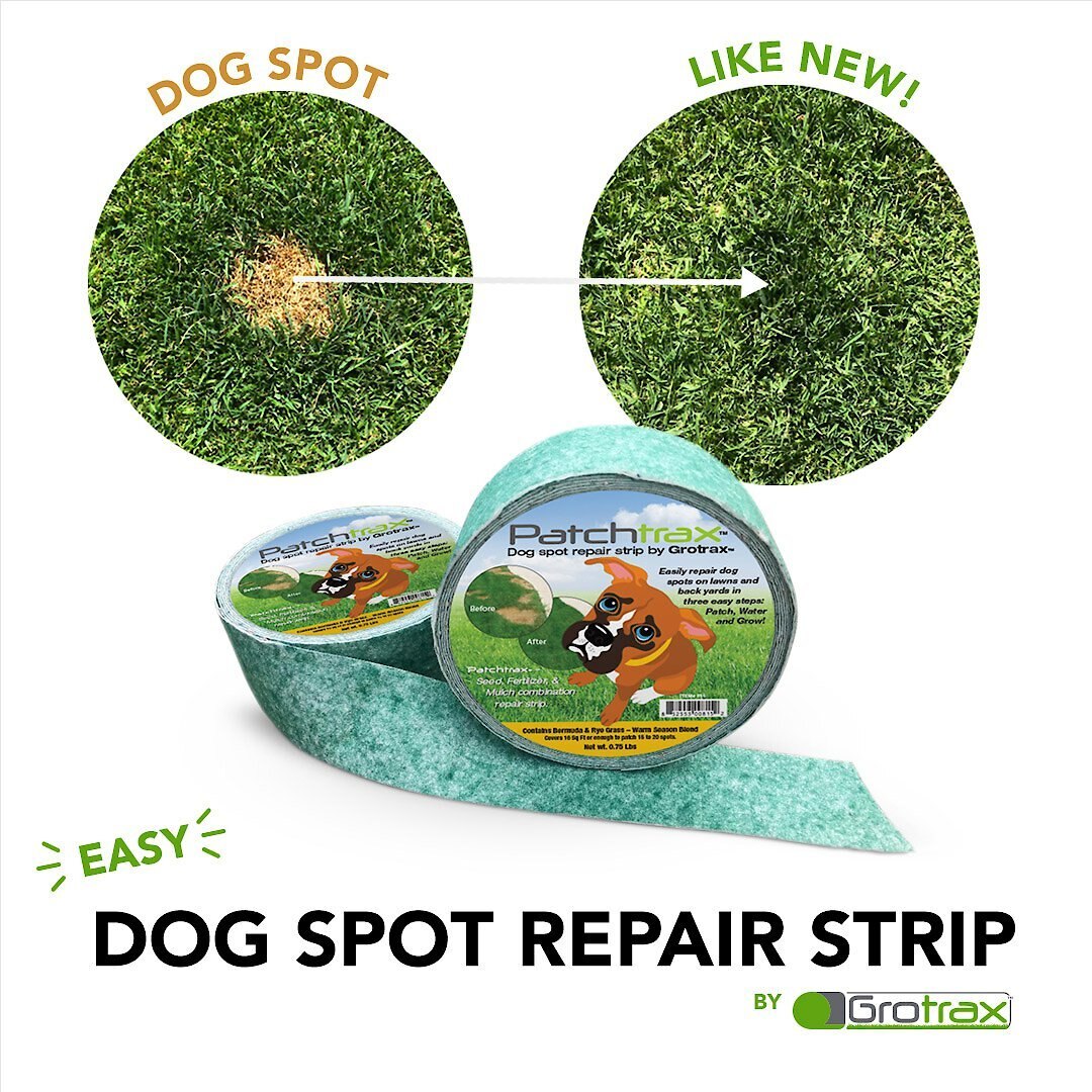 Patchtrax Warm Season Blend Dog Spot Repair Strip