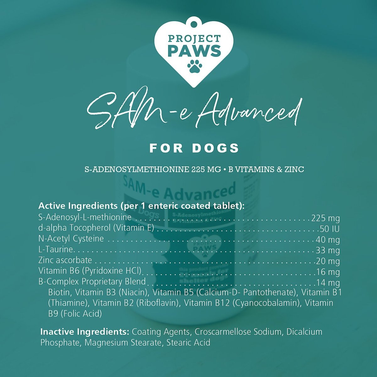 Project Paws SAM-e Advanced Liver Support Dog Supplement