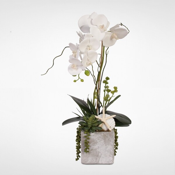 Real Touch White Orchid w/Seashell and Succulents in a Stone Wash Pot