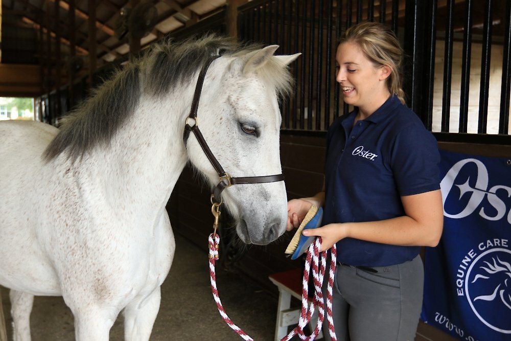 Oster Equine Care Soft Grooming Horse Brush