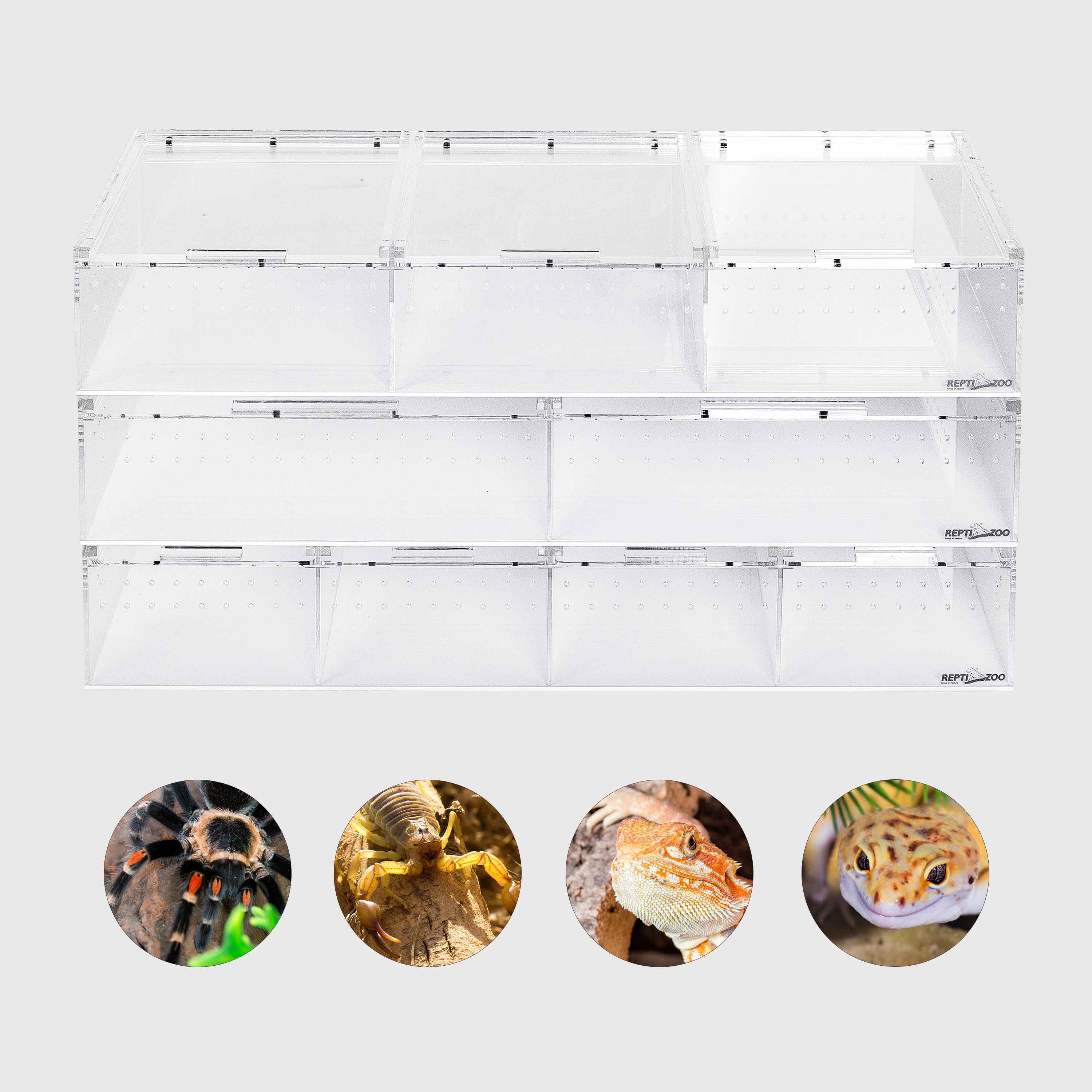 REPTIZOO 3-Pack Compact Acrylic Breeding Case with Divider for Spider